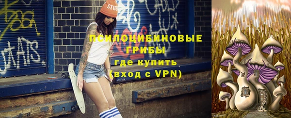а пвп мука Богданович
